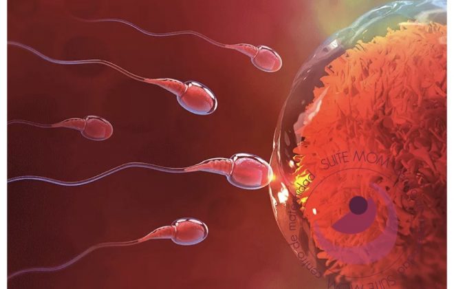 2A7CEFC1 A5F4 43D4 BA3B D18D77D0663D