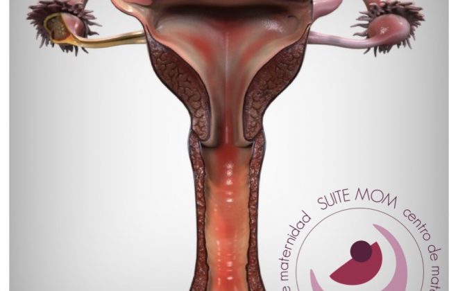 321BCADE AC94 4515 A9E1 CBF4094AF3EE