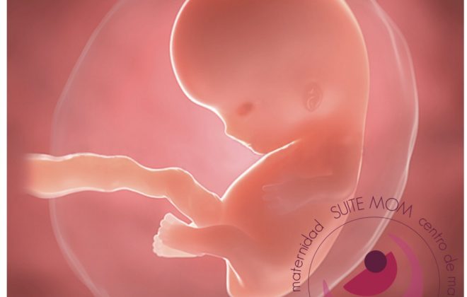 D132A4DA D544 45A9 8BA9 9D4E393A5D01